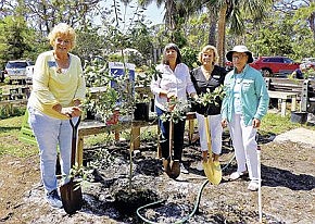 Lemon Bay Garden Club celebrates National Arbor Day